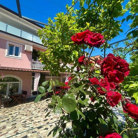 Novigrad Istria Apartments Tereza מראה חיצוני תמונה