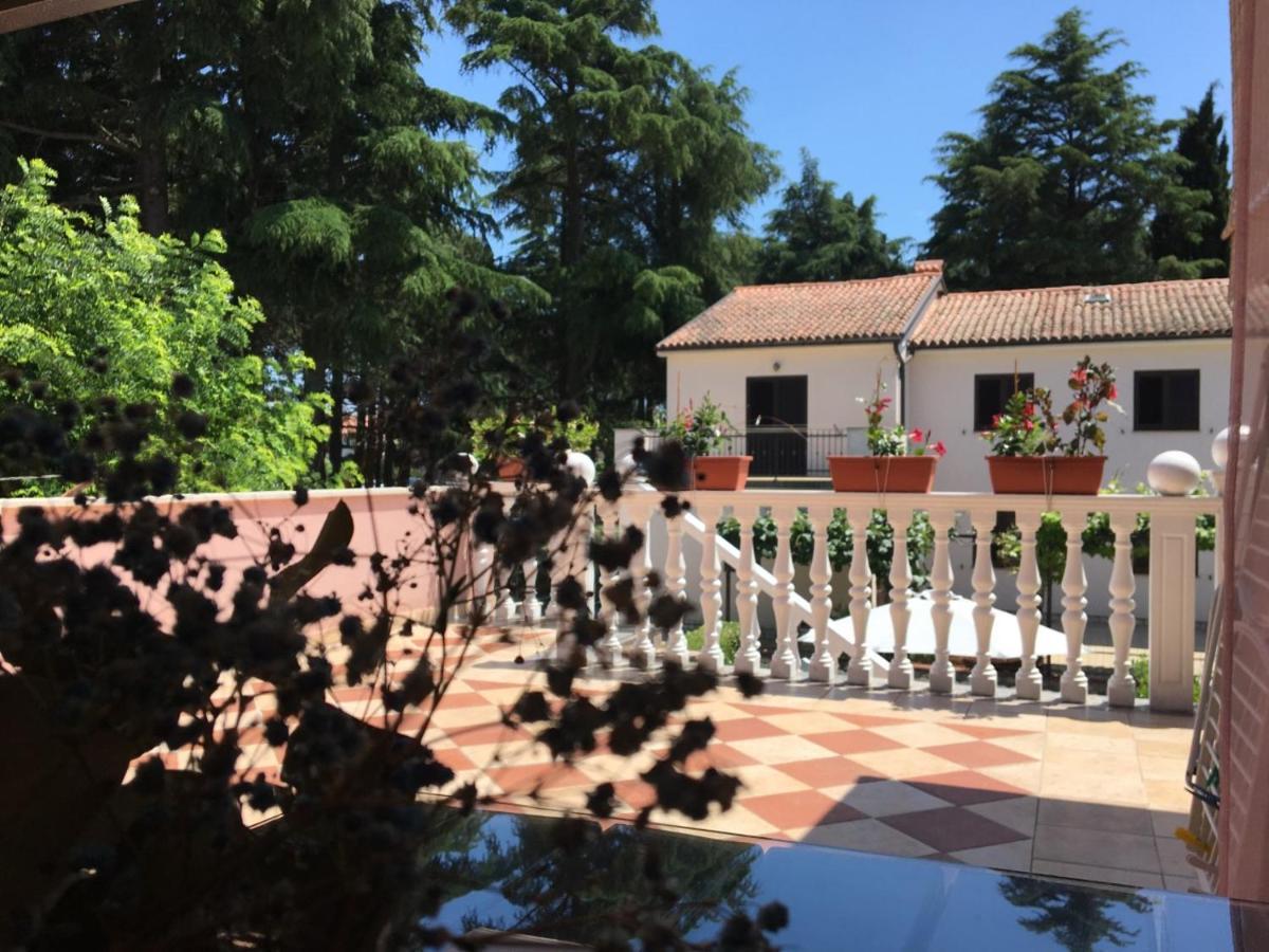 Novigrad Istria Apartments Tereza מראה חיצוני תמונה