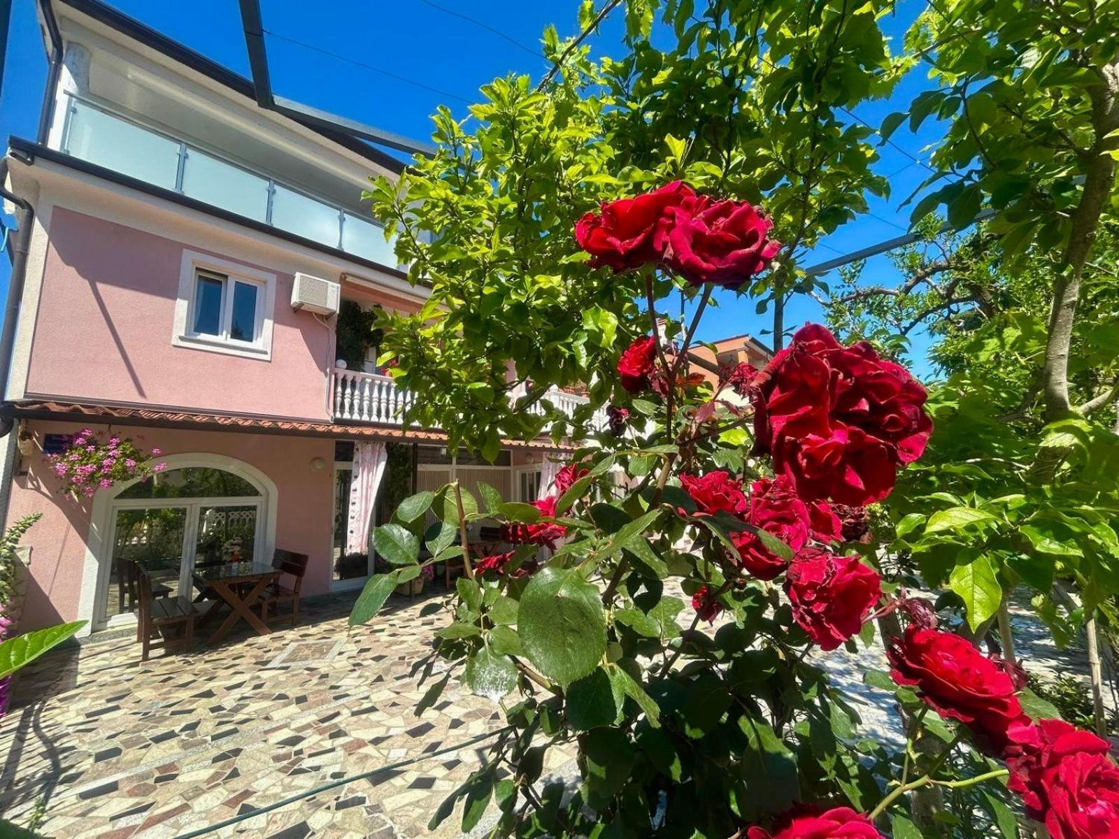 Novigrad Istria Apartments Tereza מראה חיצוני תמונה